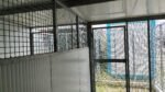Container.it Canili e Gattili Prefabbricati Modulare Personalizzabile - immagine 4